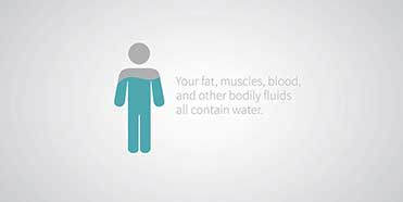 Body Composition Analysis