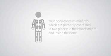 Body Composition Analysis