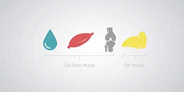 Body Composition Analysis