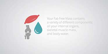 Body Composition Analysis