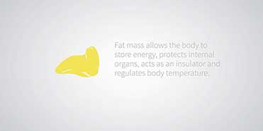 Body Composition Analysis